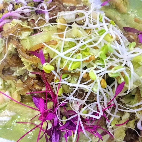 Raw green curry at Essence Cuisine in East London