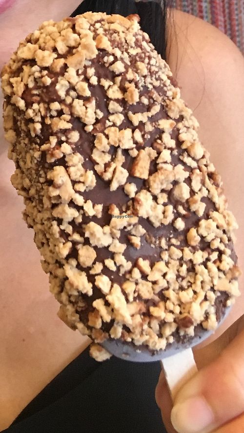 Vegan “golden gay time” at The Merri in Preston