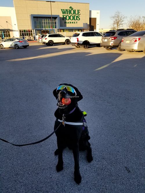 Free fruit for kids and service dogs at Whole Foods Market in Cedar Park