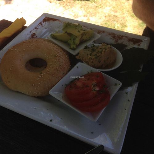 avo & tomato bagel with hoummos  at Driving Creek Cafe and Organics in Coromandel