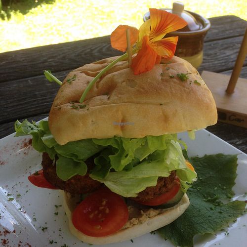 the falafel burger at Driving Creek Cafe and Organics in Coromandel