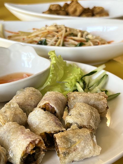Spring rolls, Papaya Salad and Fried Tofu  at HéngChūn SùShí Miàn 恆春素食麵 in Hengchun