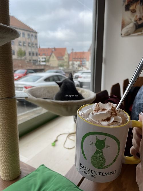 Vegan hot chocolate   at Katzentempel - Nürnberg in Nuremberg