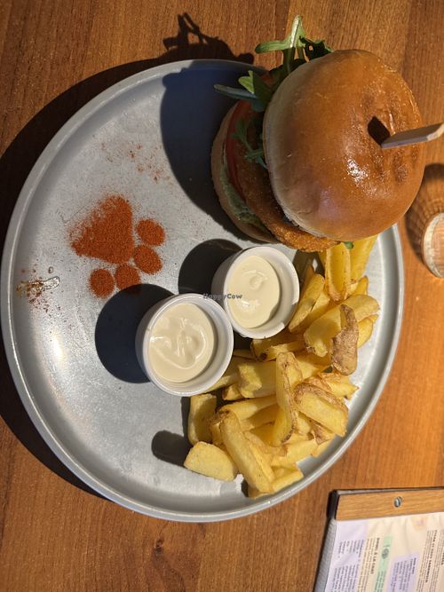   at Katzentempel - Nürnberg in Nuremberg