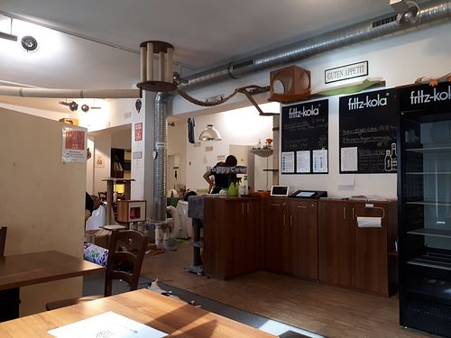 Inside at Katzentempel - Nürnberg in Nuremberg