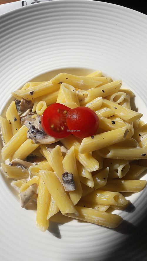 Musroom truffle pasta, vegan at Hasta la Pasta in Naantali