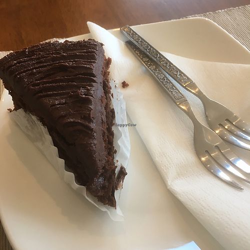 divine vegan chocolate cake (was like chocolate fudge cake)  at Envy Vegetarian Eatery in Blyton