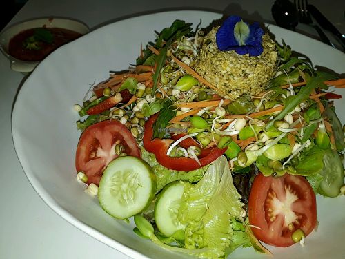 Organic salad, raw vegan at Nourished by Gade in Chiang Mai