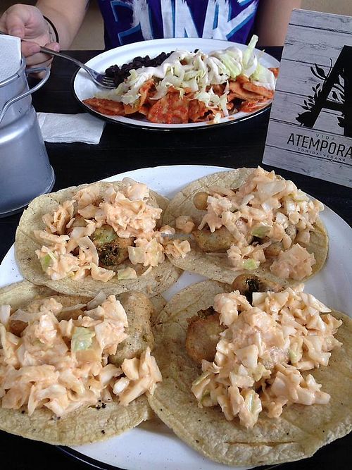 Image of Vida Atemporal