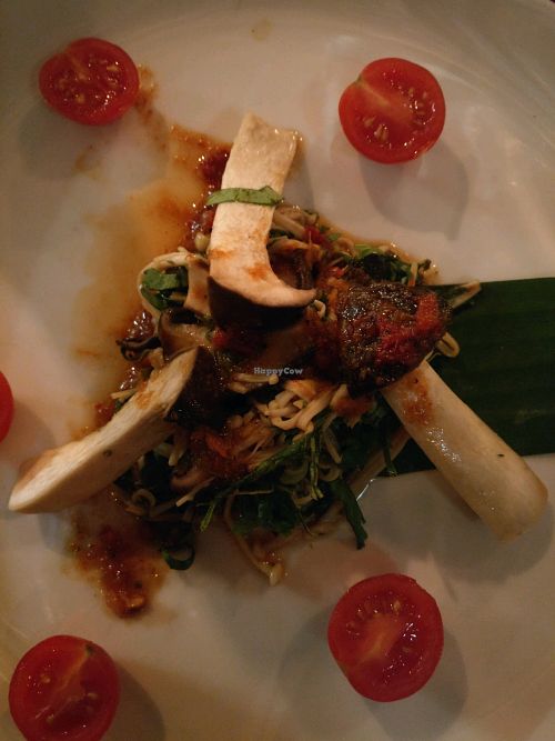 place hed at Bangpop in Melbourne