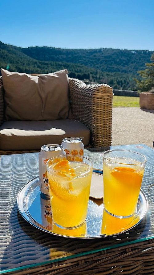 The terrace  #Veganuary at Casa Albets in Lladurs