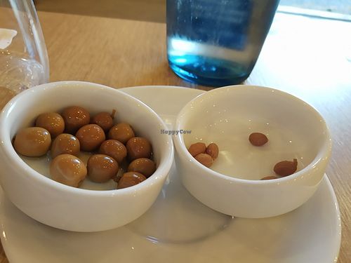 Olives at Casa Albets in Lladurs