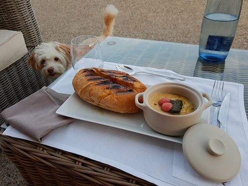 AMAZING fondue starter at Casa Albets in Lladurs