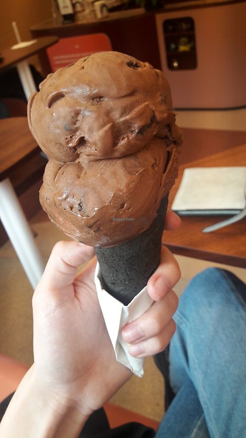 2 scoops of chocolate at Umaluma Dairy-Free Gelato in Vancouver