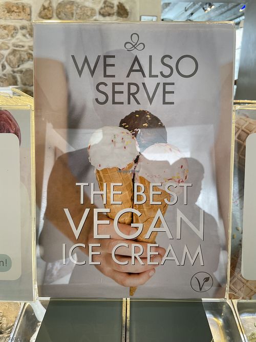   at Vivi's Creamery in Ibiza