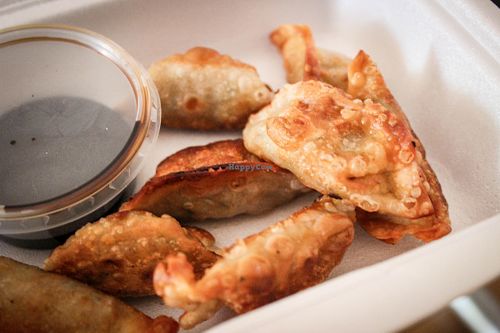 fried wonton dumplings at Amitabha in Prague