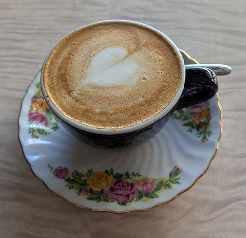  at Portershed in Christchurch