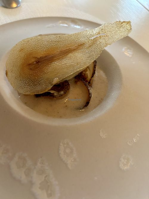   at Humus x Hortense in Brussels