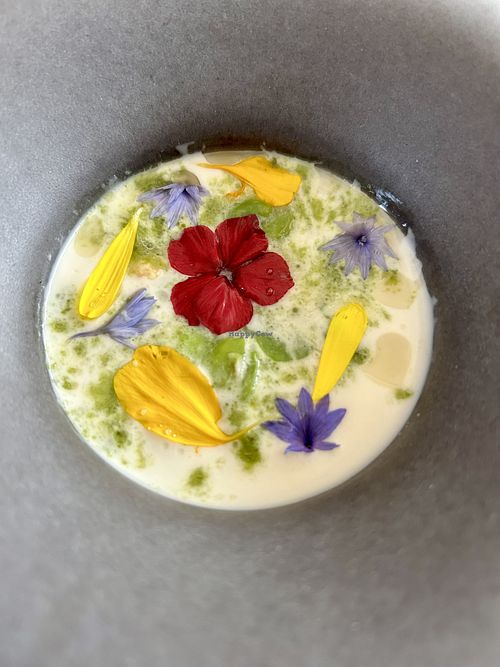   at Humus x Hortense in Brussels