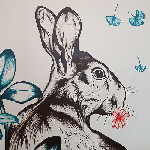 Rabbit mural  at L'Ere Vegane in Strasbourg