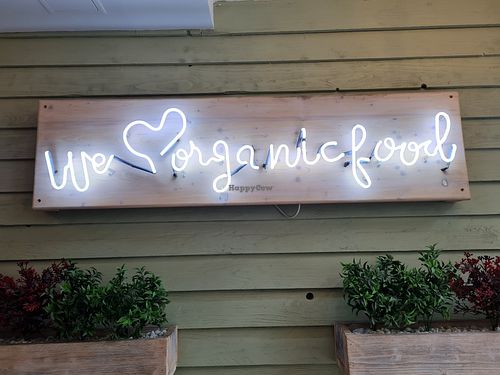  at Veggiezz - Opernring in Vienna