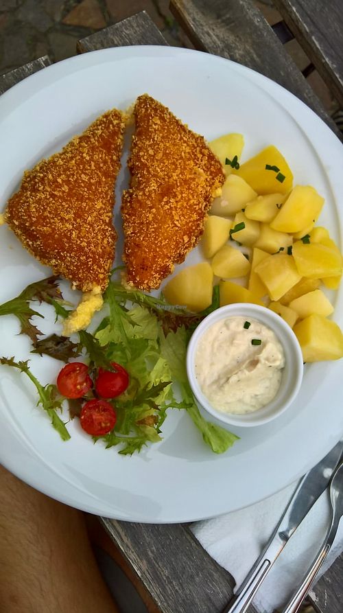 Fried vegan cheese, potatoes and yummy veganaise at Waipawa - Letna in Prague