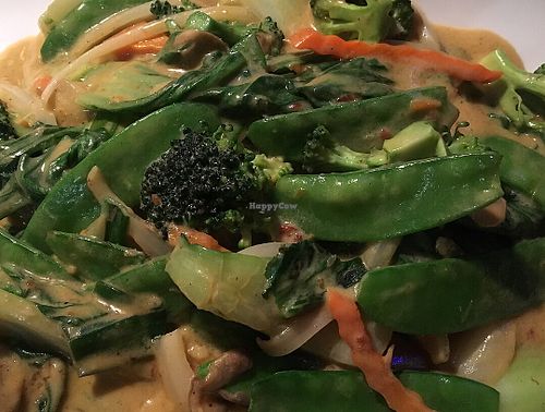 Vegetable curry- full of flavor ! So savory! at Vietnam's Central in Scarsdale