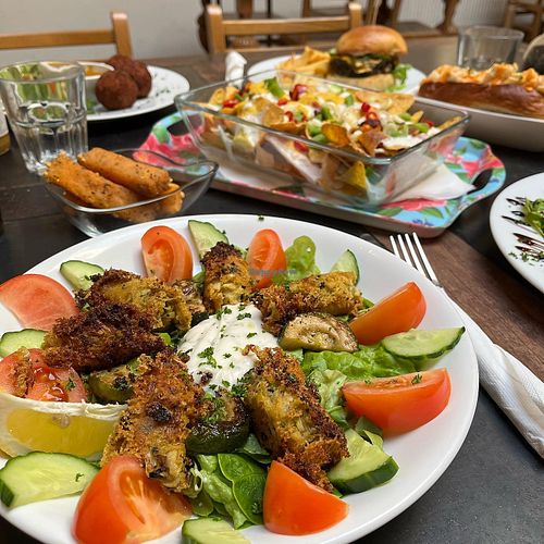 Image of The Judgy Vegan