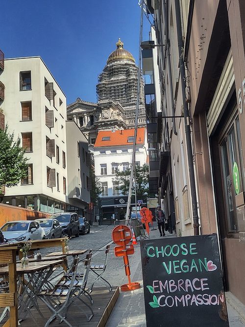 Why the name makes sense at The Judgy Vegan in Brussels