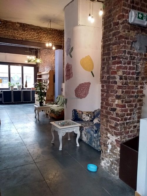 A corner of the interior of The Judgy Vegan  at The Judgy Vegan in Brussels