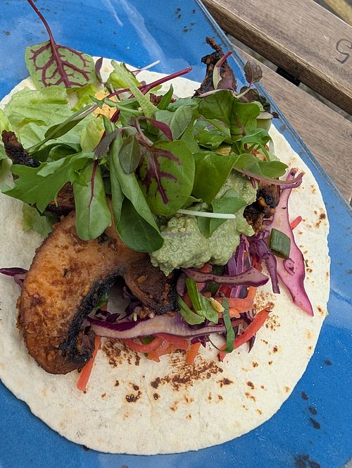 Mushroom soft shell taco - these were delicious!! at eS Bar in Keswick
