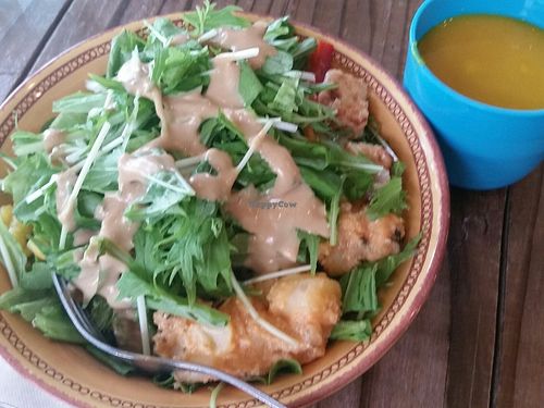 from salad bar at Hemp Cafe Tokyo in Tokyo