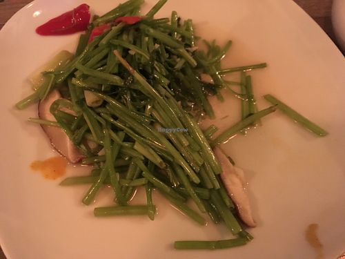 morning glory at The Green Room in Taipei