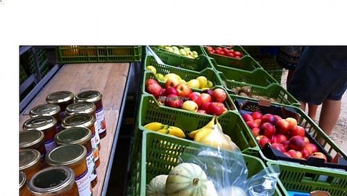 View of one of the stalls  at Bio Market Cascais in Cascais