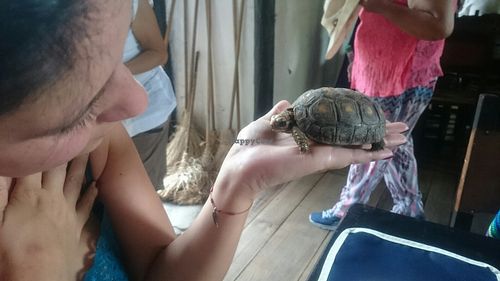 Huéspedes permanentes :) at Museo De Artes Y Tradiciones Patio Del Moro in Guaduas