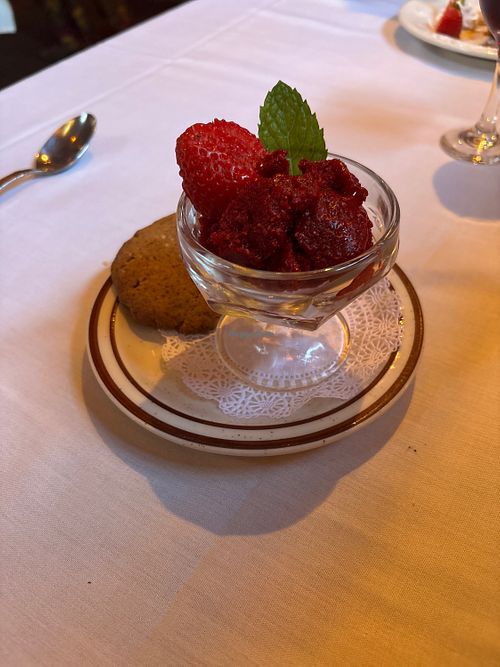Vegan sorbet and gf gingersnap  at Soule Domain in Kings Beach