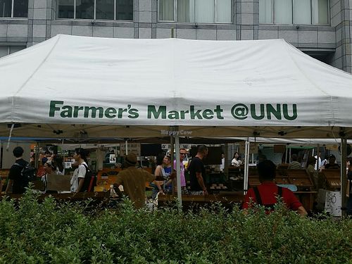 from the street at Farmer's Market - UNU in Tokyo