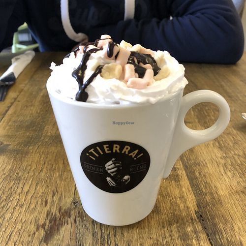 Hot chocolate with whipped cream and marshmallows  at No 18 Cafe in Swansea