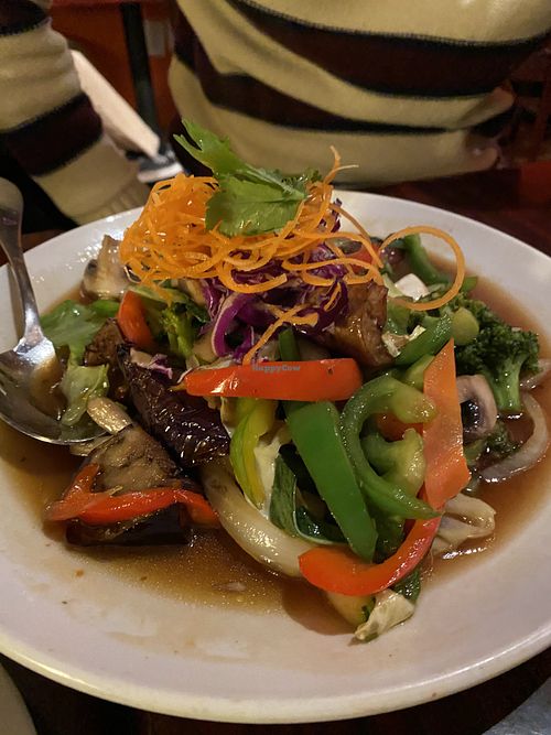 Eggplant stir fry at Aloy Thai Cuisine in Boulder