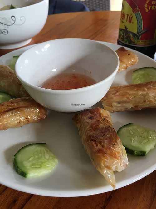 Fried Spring Rolls at Nhat Da in Hoi An