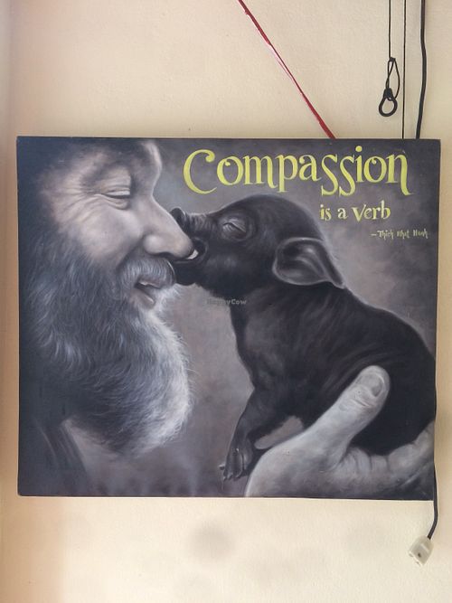 Compassion at Nhat Da in Hoi An