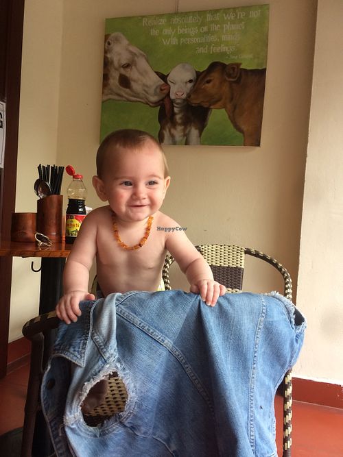 Vegan Baby Alessia at Nhat Da in Hoi An