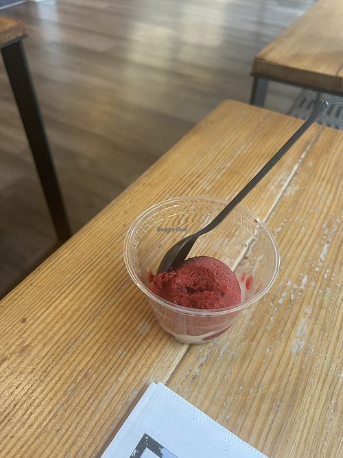   at Mount Desert Island Ice Cream - Firefly Ln in Bar Harbor