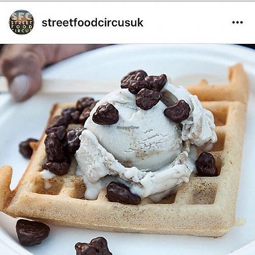 gluten free and vegan hot waffle with ice cream and chocolate honeycomb pieces at Ice Green in Cardigan