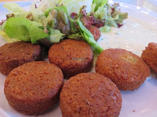 falafel with sesame herb dip accompanied by lettuce (vegan) at Mensacafe in Saarbrucken