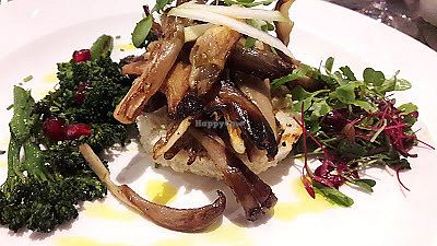 Panfried mushrooms with lemongrass curry oil on toasted bread  at Breda Murphy Restaurant in Whalley