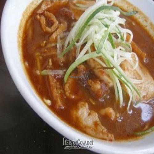 Vegetarian Assam Laksa Noodle at Luo Han Vegetarian Health Food in Central Singapore