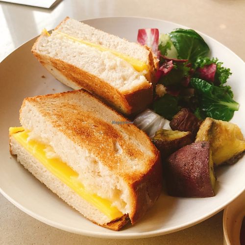 . at Sun the Bud - 썬더버드 in Seoul