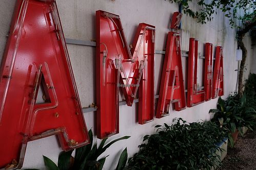 Amalia! at TOO Naturally Healthy Food in Lisbon