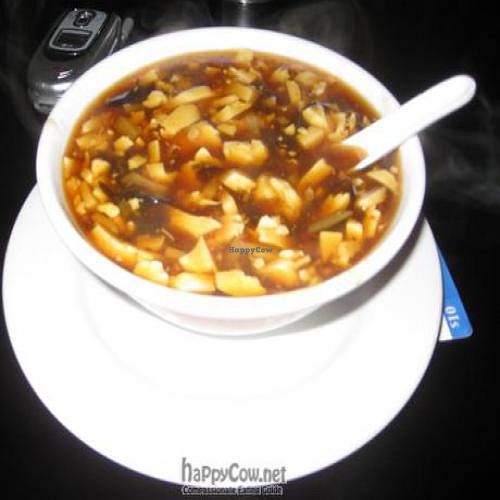 Hot and Sour Soup at House of Vegetarian in New York City